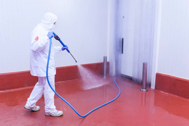 Best Pre-Holiday Cleaning  in Moonachie, NJ